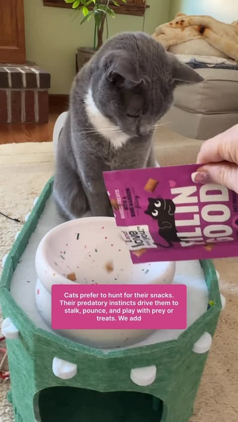 Instagram post by @purrfectinfluencer for I and love and you. Caption reads: [ad] @iandloveandyoupet cat treats are a delight....