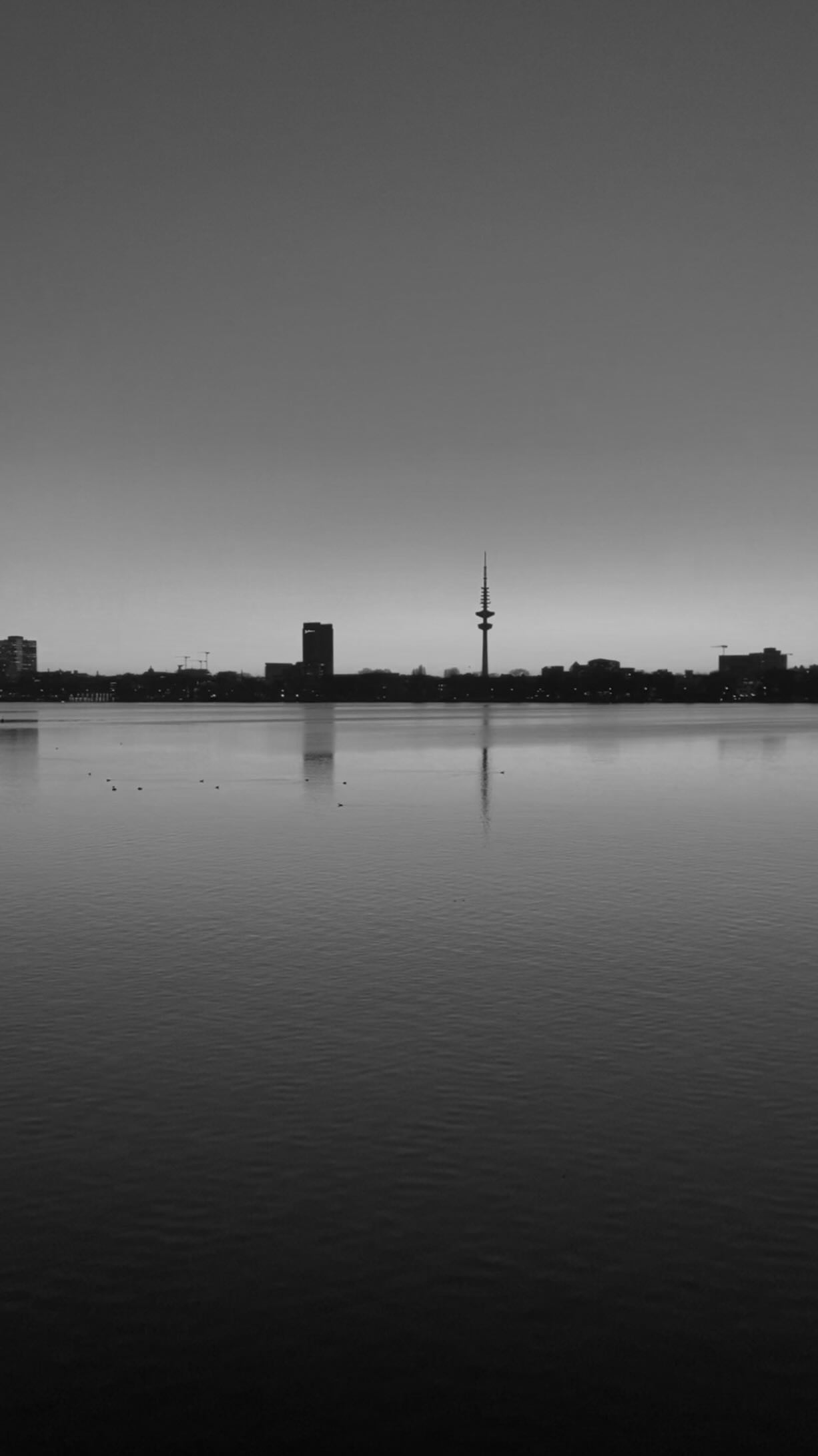 Instagram post by @cherifaakili for Noble Panacea. Caption reads: anzeige* unwind the night with me - the....