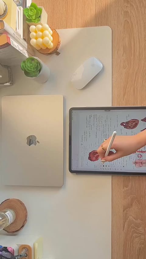 Instagram post by @theluggagelibrary for Notability. Caption reads: [...] you get an ipad as a student ✨🤘 ✍️....