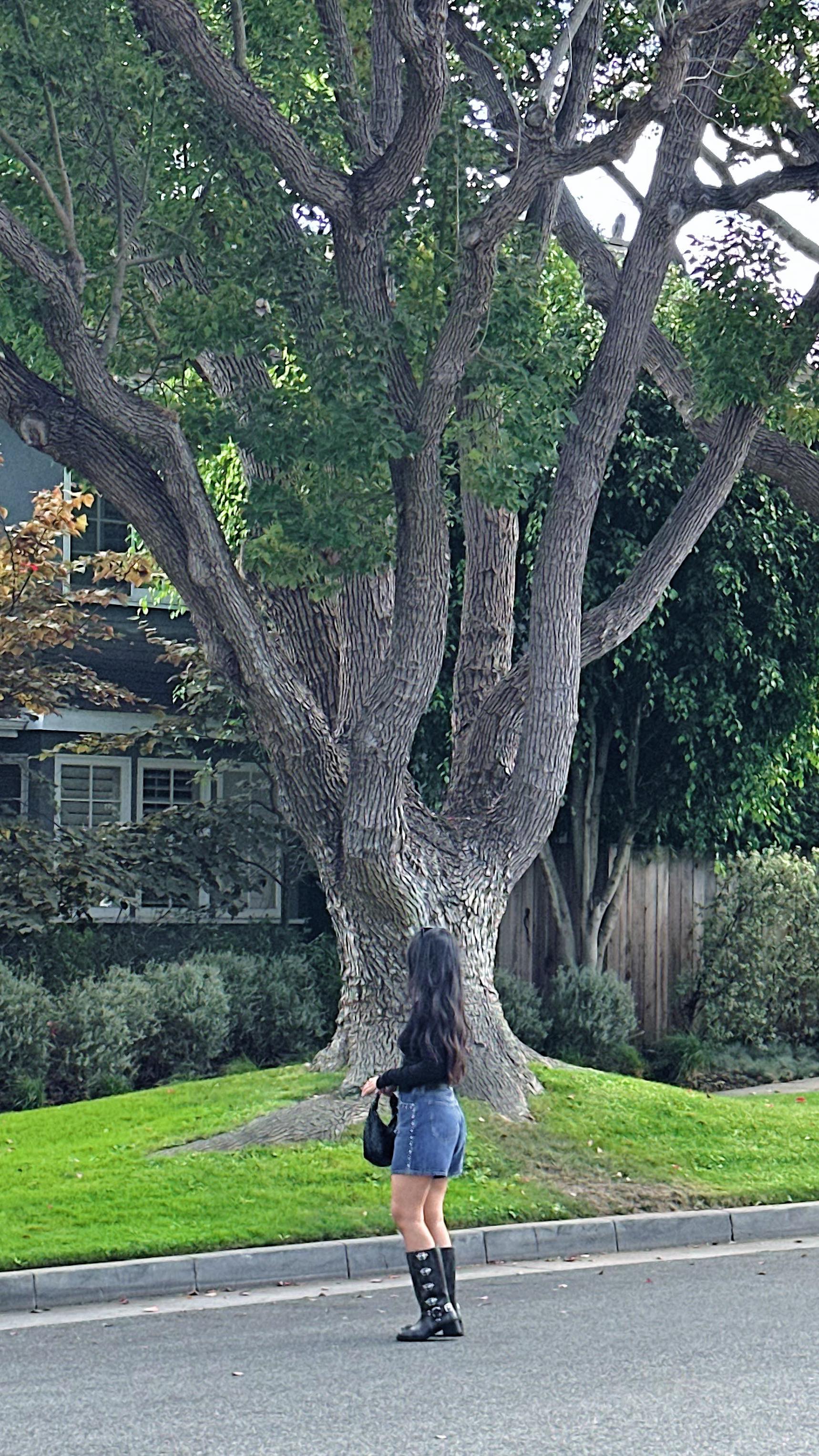 Instagram post by @stephanieivette for JustFab. Caption reads: so thankful for the brands that send me pr what a....