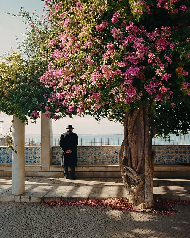 Instagram post by @lenswatching for Kodak. Caption reads: Solo Trip to Lisbon. - Shot on @kodak film. -....