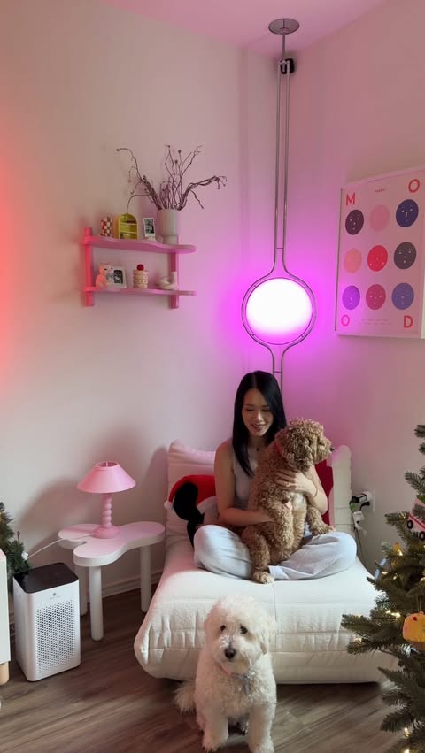 Instagram post by @homewithbao for Medify Air. Caption reads: [...] and everyone happy in our home 🐶💛....