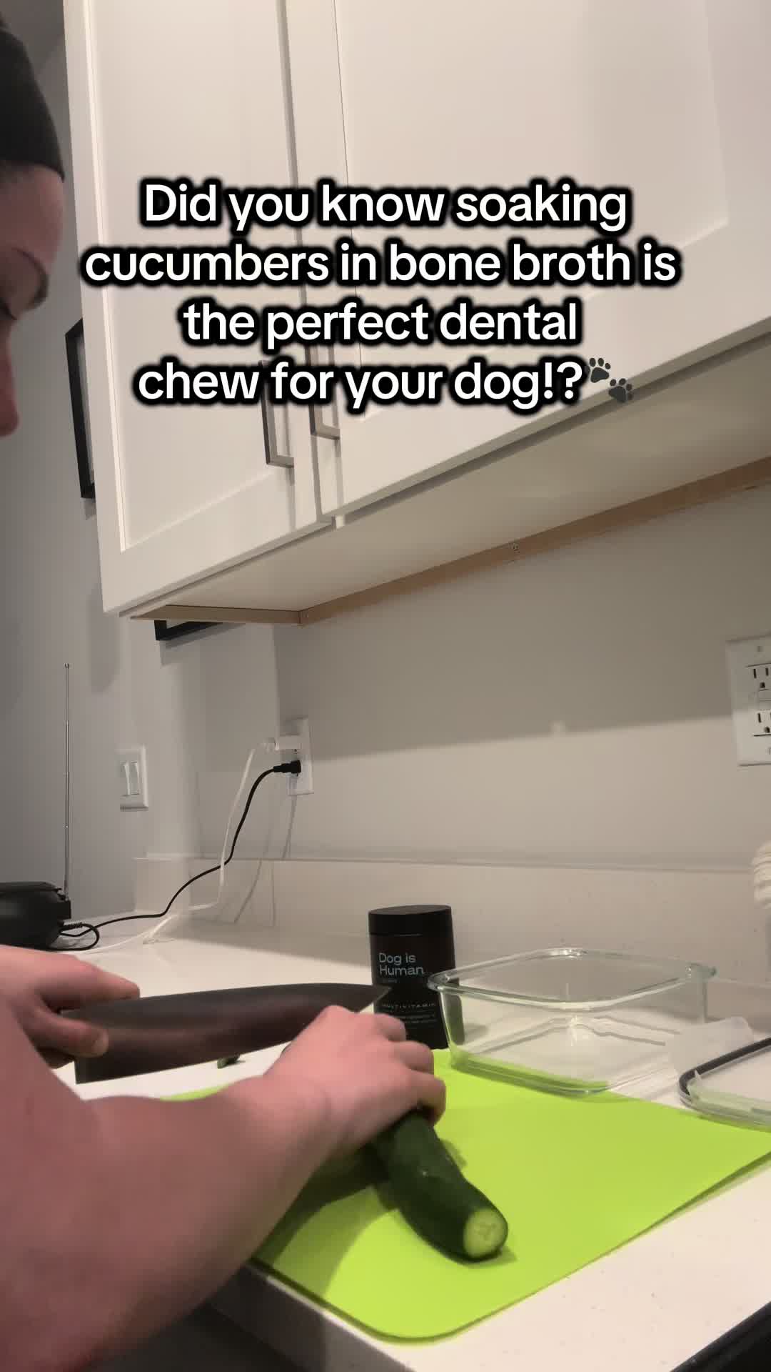 TikTok post by @mikaylaporcaro for Dog is Human. Caption reads: Cucumber Dental Chew with @Dog is Human!🐾 You can....