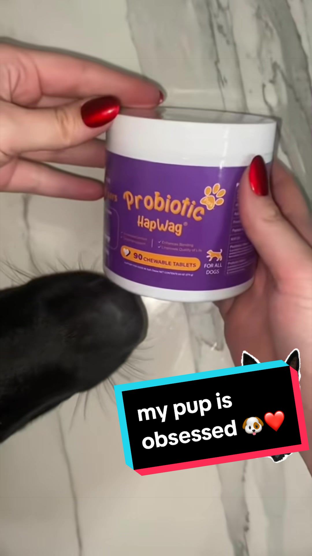 TikTok post by @benzfitness0777 for Hapwag Pets. Caption reads: [...] too pretty not to notice 💅🏻🍒 @HAPWAG PETS....