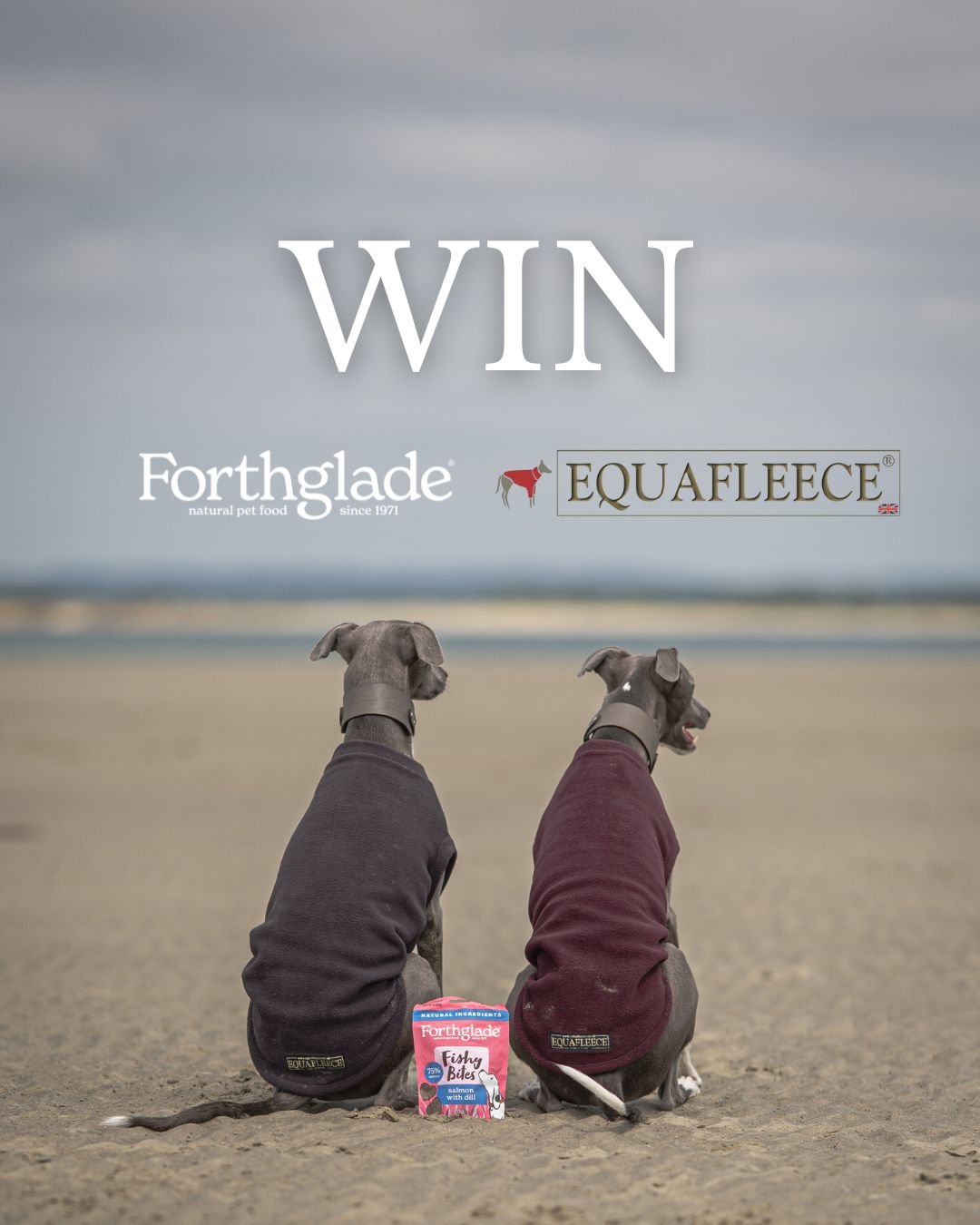 Instagram post by @equafleece for Forthglade. Caption reads: WIN | It's National Friendship Day! @forthglade....