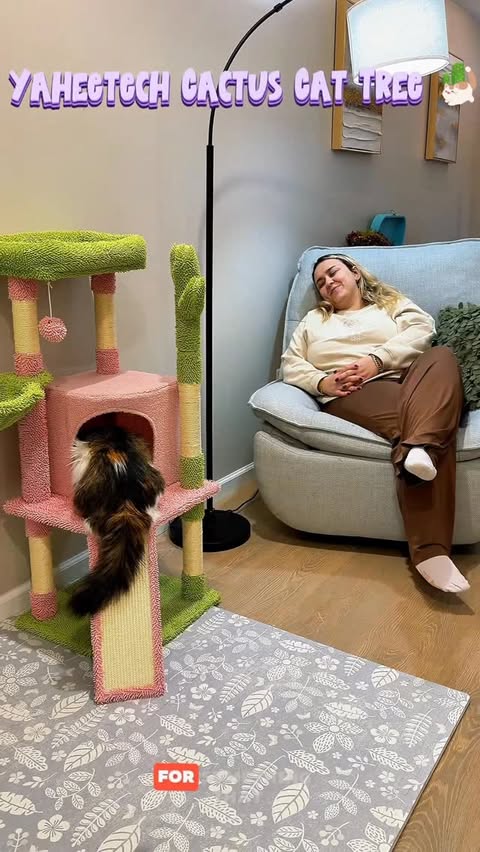 Instagram post by @american.ladybug for Yaheetech. Caption reads: [...] space and a cozy spot for my cat 🌵🐾....