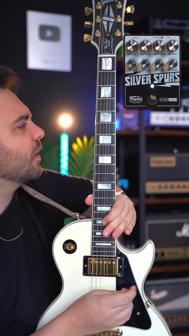 Instagram post by @danilovicariofficial for Thomann. Caption reads: MAMA I’M COMING HOME @ozzyosbourne Playing this....