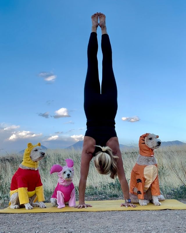 Instagram post by @dancingjaime for Uahpet. Caption reads: Happy Halloween everyone! I would much rather....