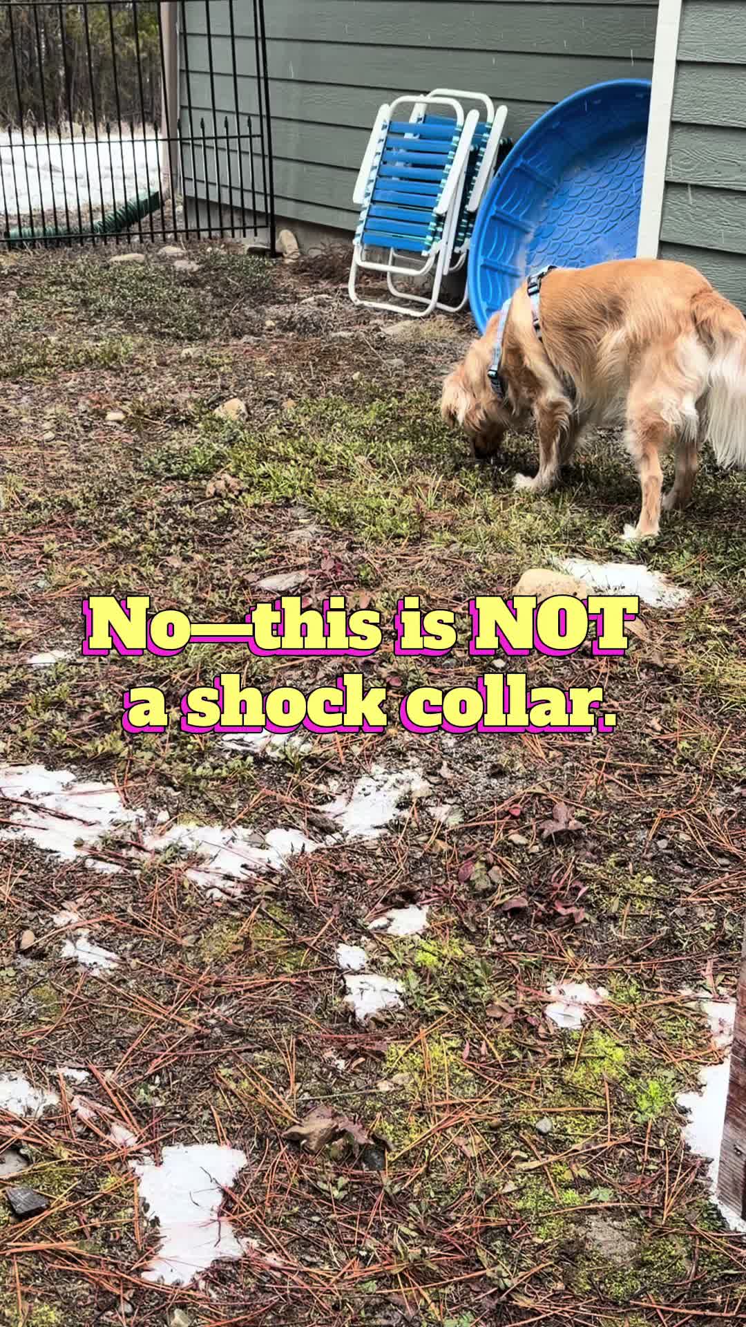 TikTok post by @doseofdakota for Jugbow. Caption reads: [...] #RecallTraining #TikTokShop #GoodGirl....