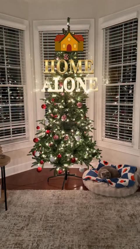 Instagram post by @lifestylegizem for Lepro. Caption reads: [...] ✨
I decorated my home and backyard with....