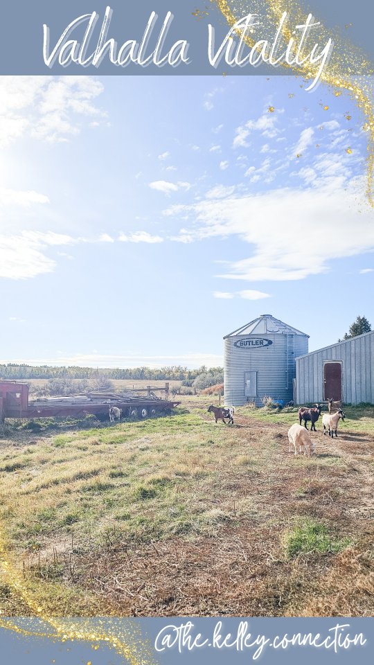 Instagram post by @the.kelley.connection for Valhalla Vitality. Caption reads: Wellness that is tailored specifically to you?....