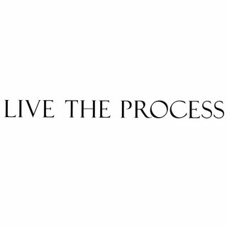 Live The Process