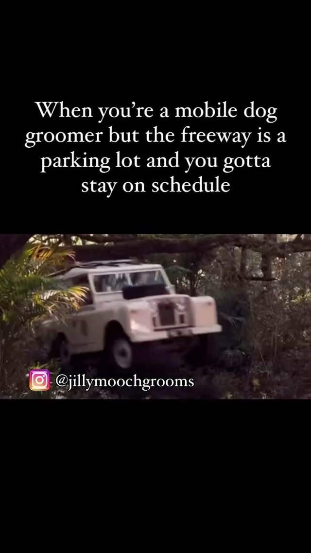 Instagram post by @jillymoochgrooms for OPAWZ. Caption reads: [...] JILLY10 @utsumi.grooming 🎨Code JILLY5....