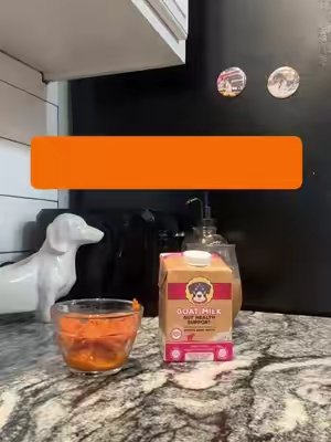 TikTok post by @hangingwithharper for Brutus Broth. Caption reads: [...] #pumpkinspicelatté @TrainWithHarley @Brutus....