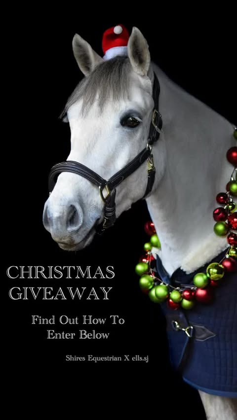 Instagram post by @ells.sj for Shires Equestrian. Caption reads: This Christmas I’ve teamed up with Shires....