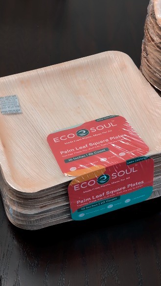 Instagram post by @aswtnsr_ for EcoSoul. Caption reads: Sustainable living made simple with @ecosoulhome....