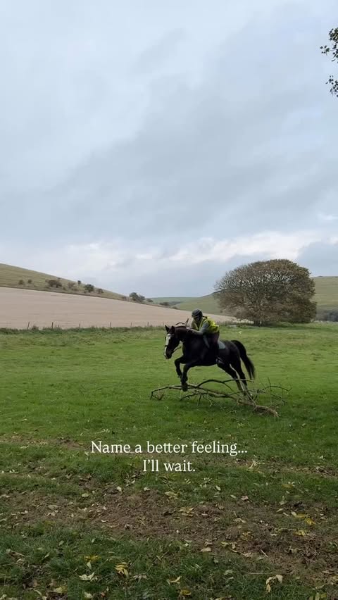 Instagram post by @canterring for Shires Equestrian. Caption reads: Already missing that hacking feeling! Gallops,....