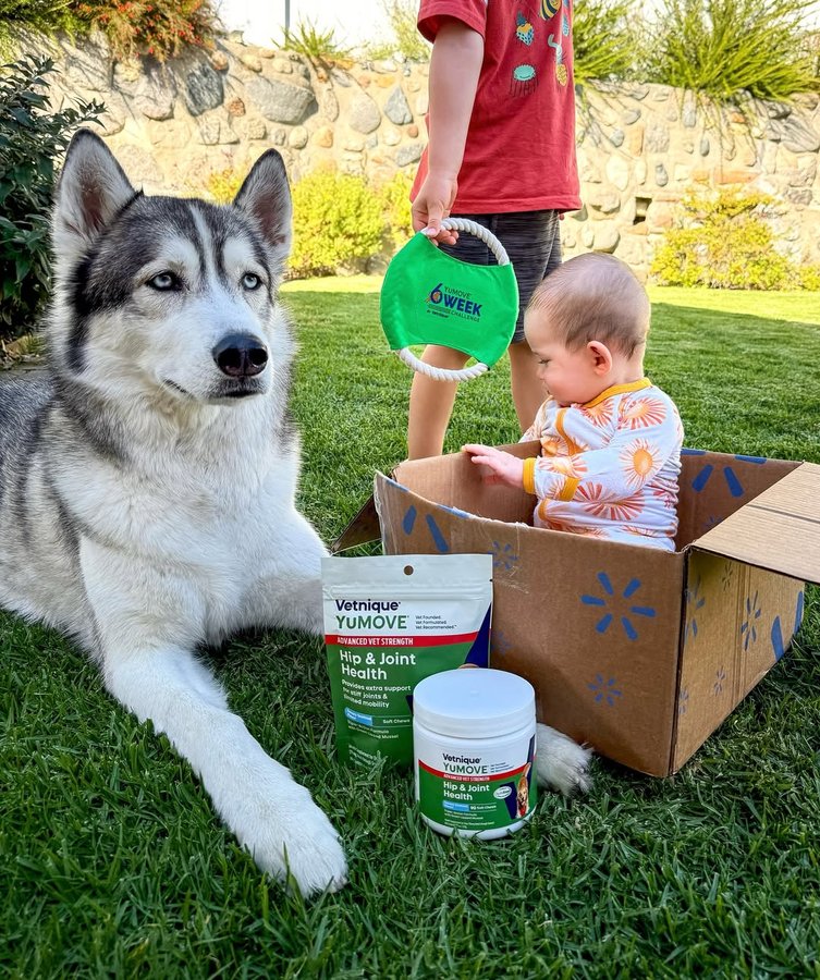 Instagram post by @thathuskytheo for Vetnique. Caption reads: Keeping up with a toddler and a newborn is serious....