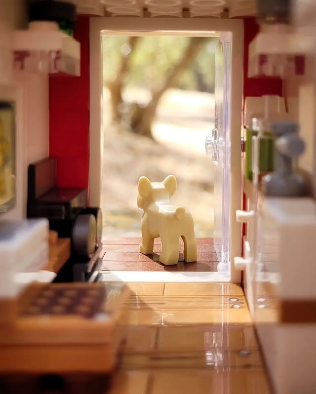 Instagram post by @fourbrickstall for Apexel. Caption reads: [...] photography tips for a chance to win an....
