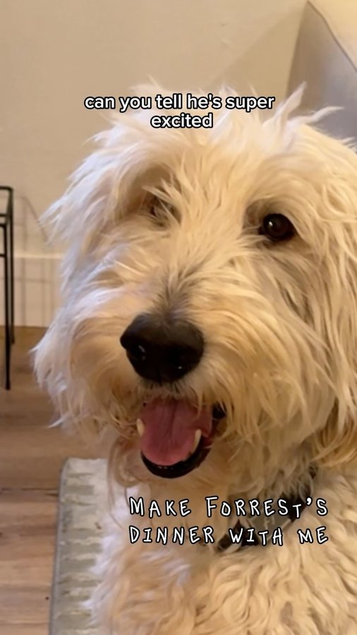 Instagram post by @forrest.and.jameson for Optimeal. Caption reads: Dinner time with one of our favorites....