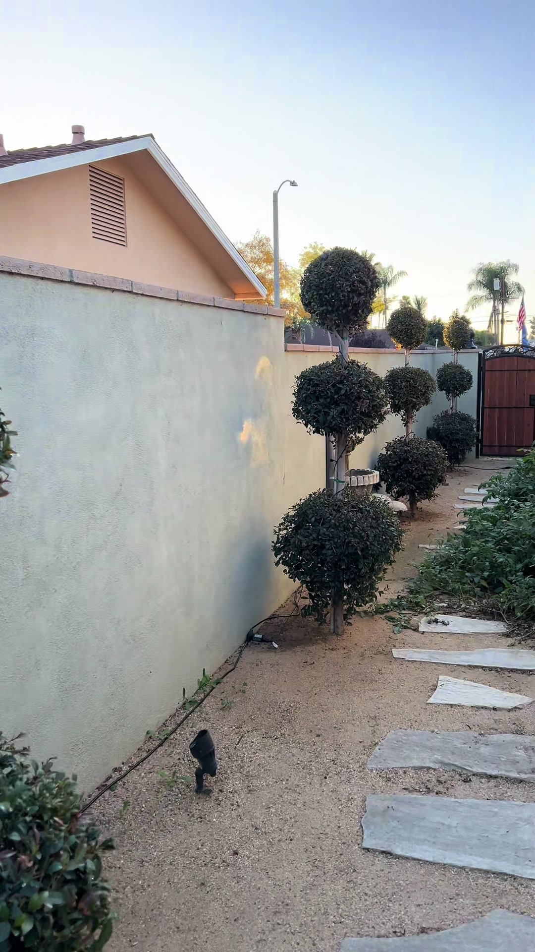 TikTok post by @franklyrobbie for Wyze. Caption reads: Thank you @Wyze this sure has come in handy!....