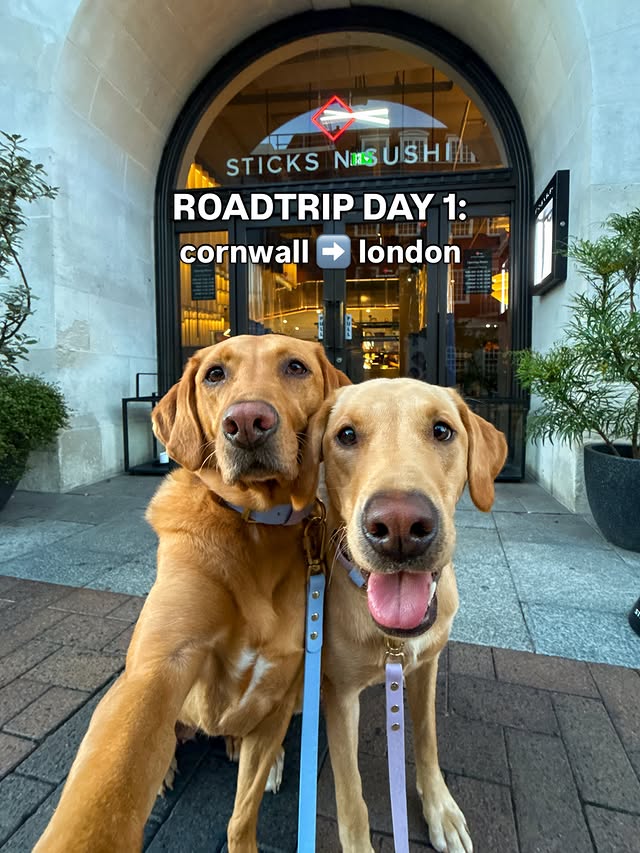 Instagram post by @foxredpeggy for Sticks'n'Sushi. Caption reads: [...] finished with a beaaautiful meal at....