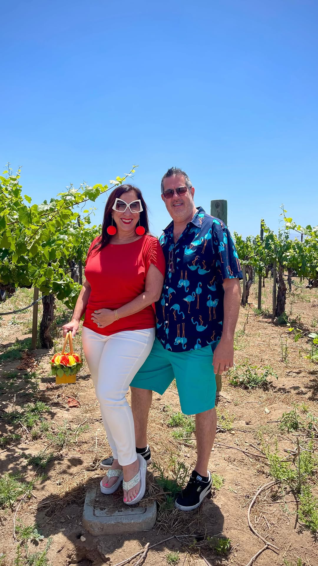 Instagram post by @romyraves for Universal Standard. Caption reads: Cheers to a whirlwind visit to Temecula with....