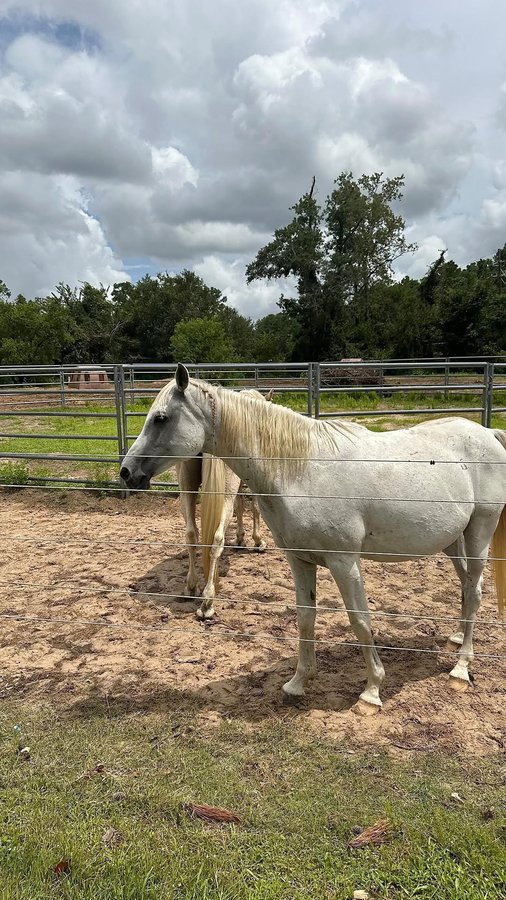 Instagram post by @beautydunia for ZUDO. Caption reads: [...] of summer sale now liveee!! @zudo.co.