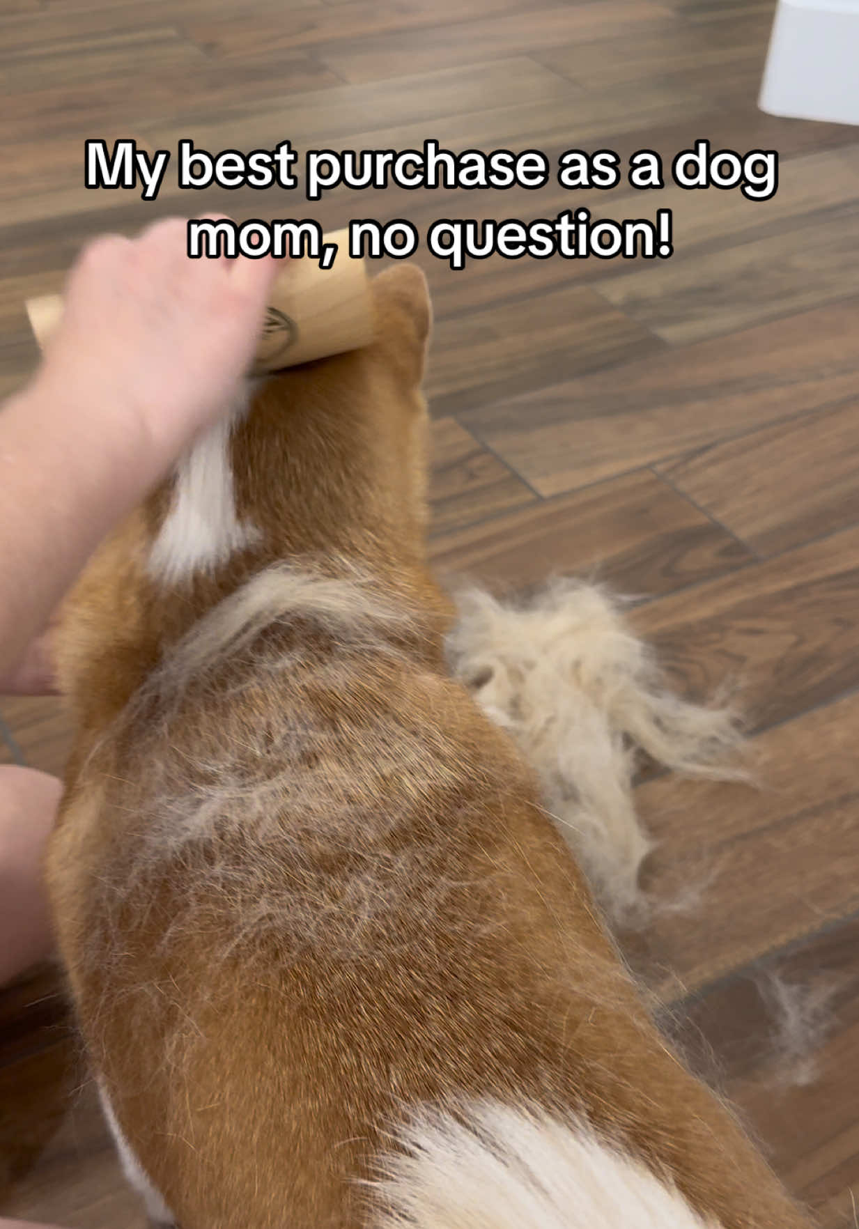 TikTok post by @flockofshibas for SleekEZ. Caption reads: Brushing just got a whole lot easier @SleekEZ USA....