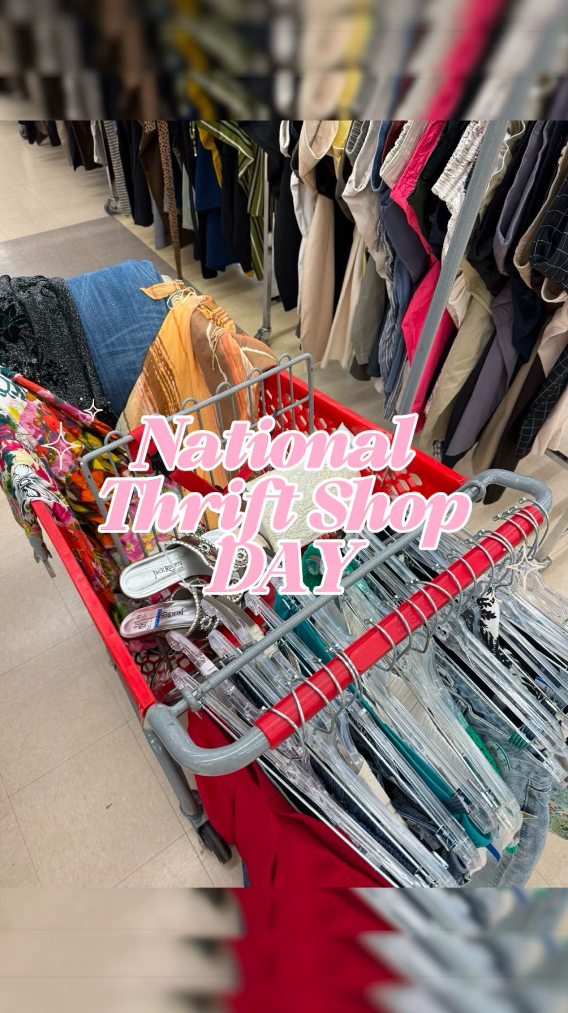 Instagram post by @lilibritosa for Savers. Caption reads: My favorite holiday of the year is here, National....