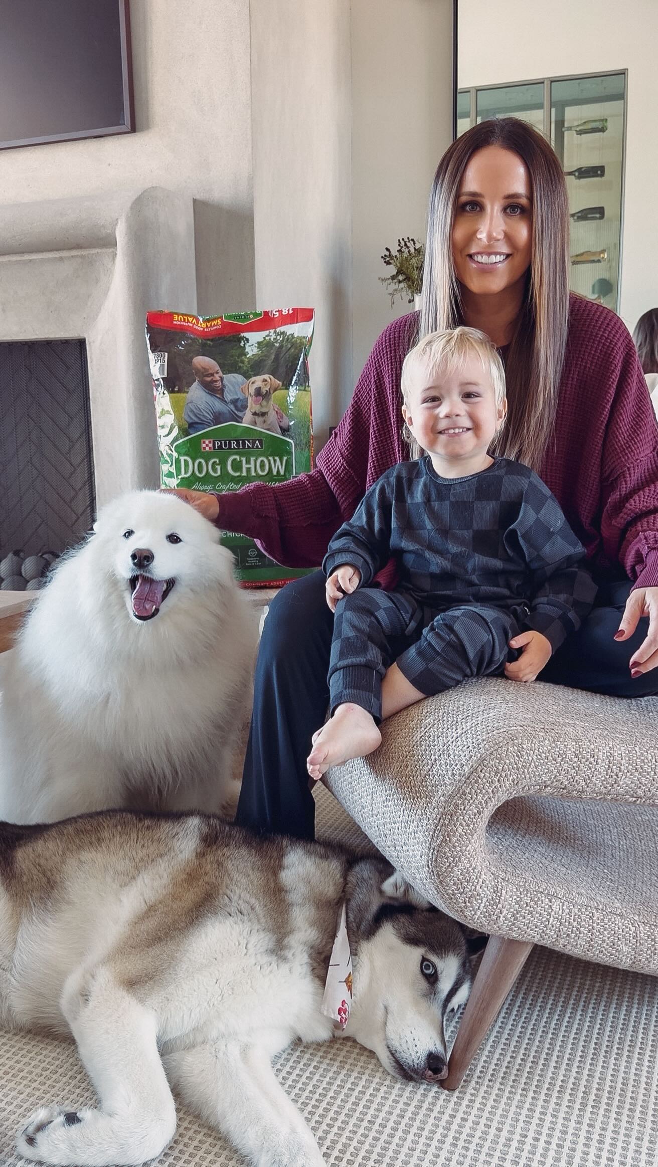 Instagram post by @emily.fauver for Purina. Caption reads: #ad 1 Like = $1 to help a veteran get their own....