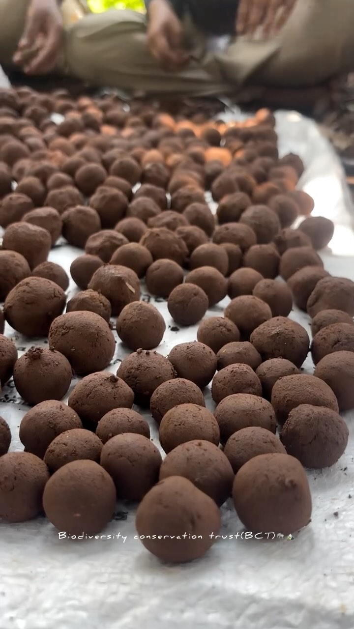 Instagram post by @nandha_soul_of_nature_ for Seed. Caption reads: Seed balls making for Habitat restoration 🐘🏔️....