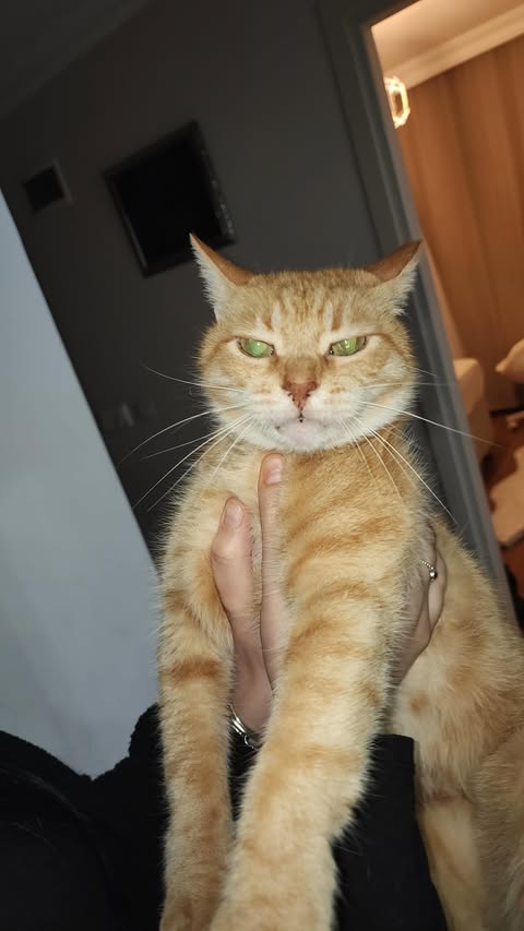 Instagram post by @efsaerin for Huda Beauty. Caption reads: kombin yapıcam canım....