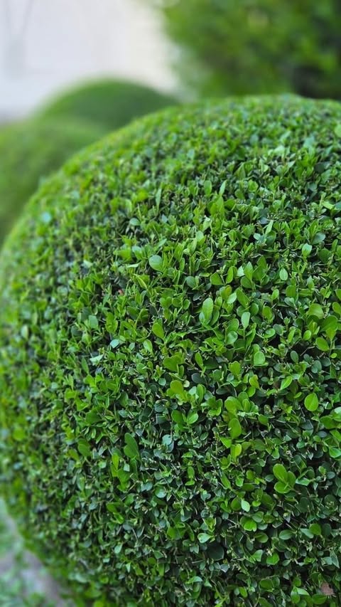 Instagram post by @southerncrossgardens for Husqvarna. Caption reads: [...] feeling 2026 will be bigger........