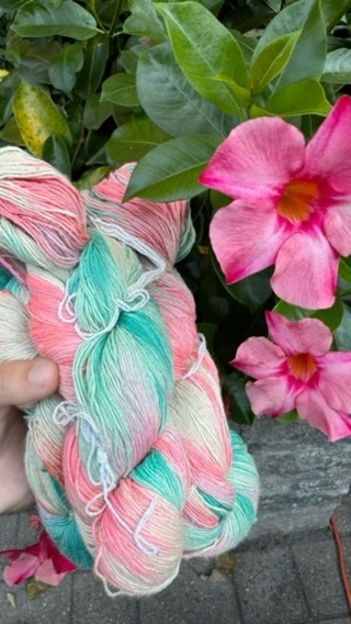 Instagram post by @highlevelsylvie for Darn Good Yarn. Caption reads: Got my first @darngoodyarn box and I’m so happy....