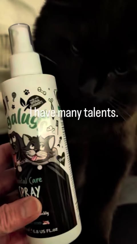 Instagram post by @luciferfluffovich for Bugalugs Pet Care. Caption reads: [...] 🦷💚 Dental Month with @bugalugspetcare....