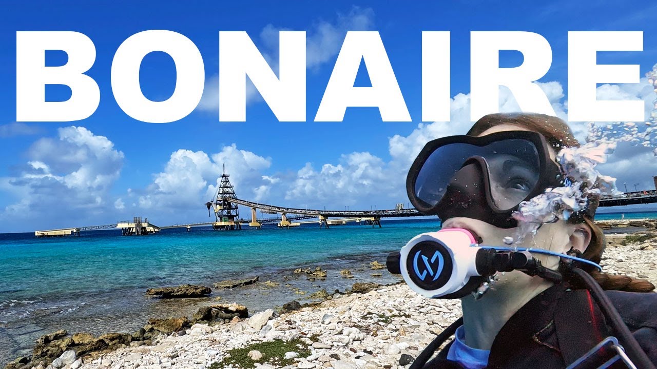 YouTube post by @AzulUnlimited for GOODONYA Organic. Caption reads: The best warm water shore diving destination -....