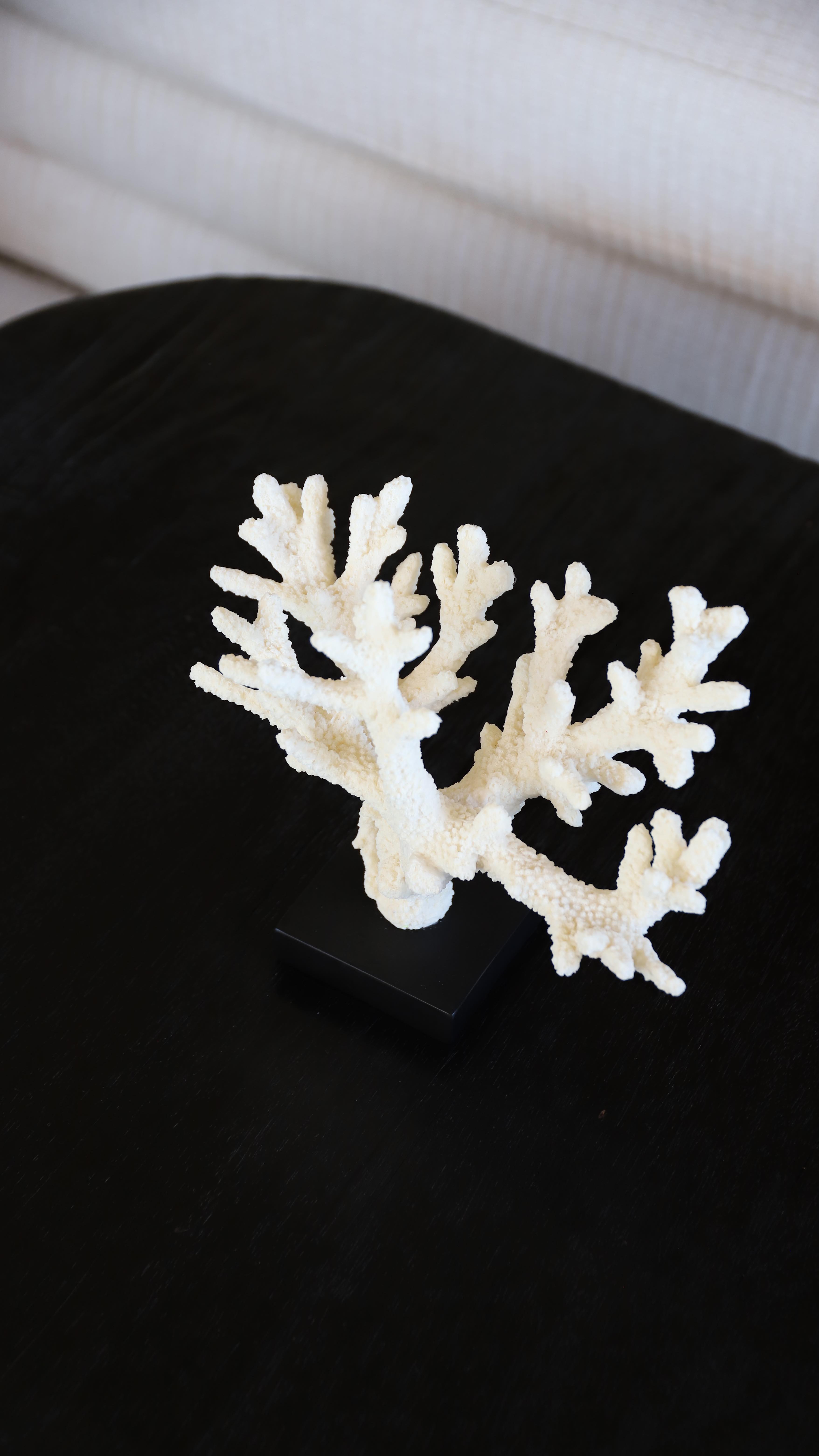 Instagram post by @sophiesinacori for Graceandmila. Caption reads: This set is sooo chic @graceandmila 🕊️

#ootd....