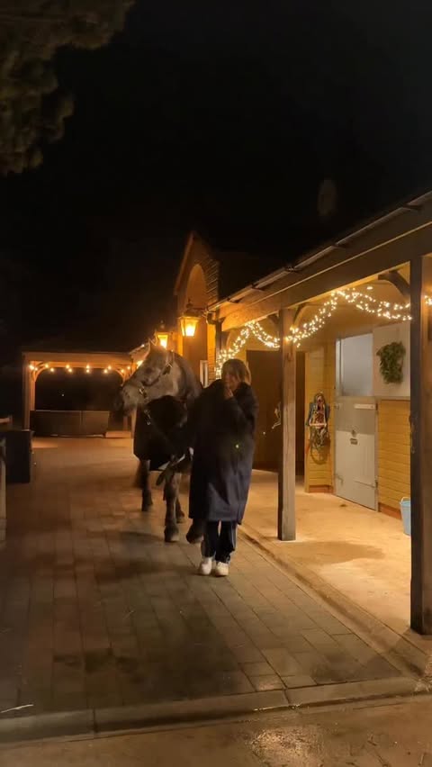 Instagram post by @indiakatona for Shires Equestrian. Caption reads: The calm before the storm of show day…<3 I think....