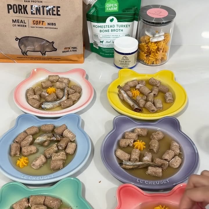 Instagram post by an influencer for Vital Essentials. Caption reads: [...] the new VE Soft Nibs 🐖🥓....