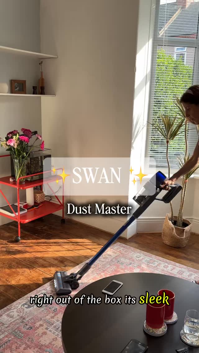 Instagram post by @raynewonders for Swan Brand. Caption reads: Cleaning just got easier, smarter, and cordless....