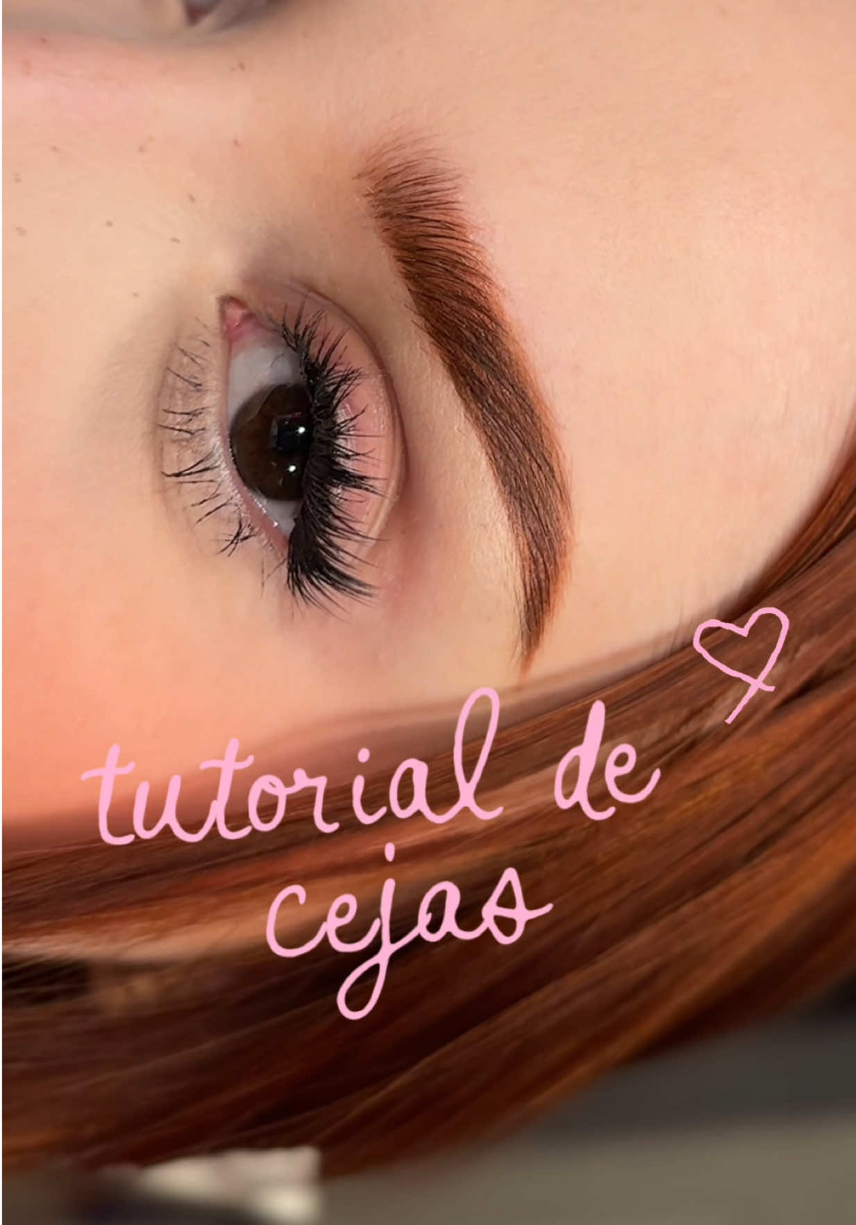 TikTok post by @jocelinmanson for Anastasia Beverly Hills. Caption reads: 🩷 @Anastasia Beverly Hills #abhbrows....