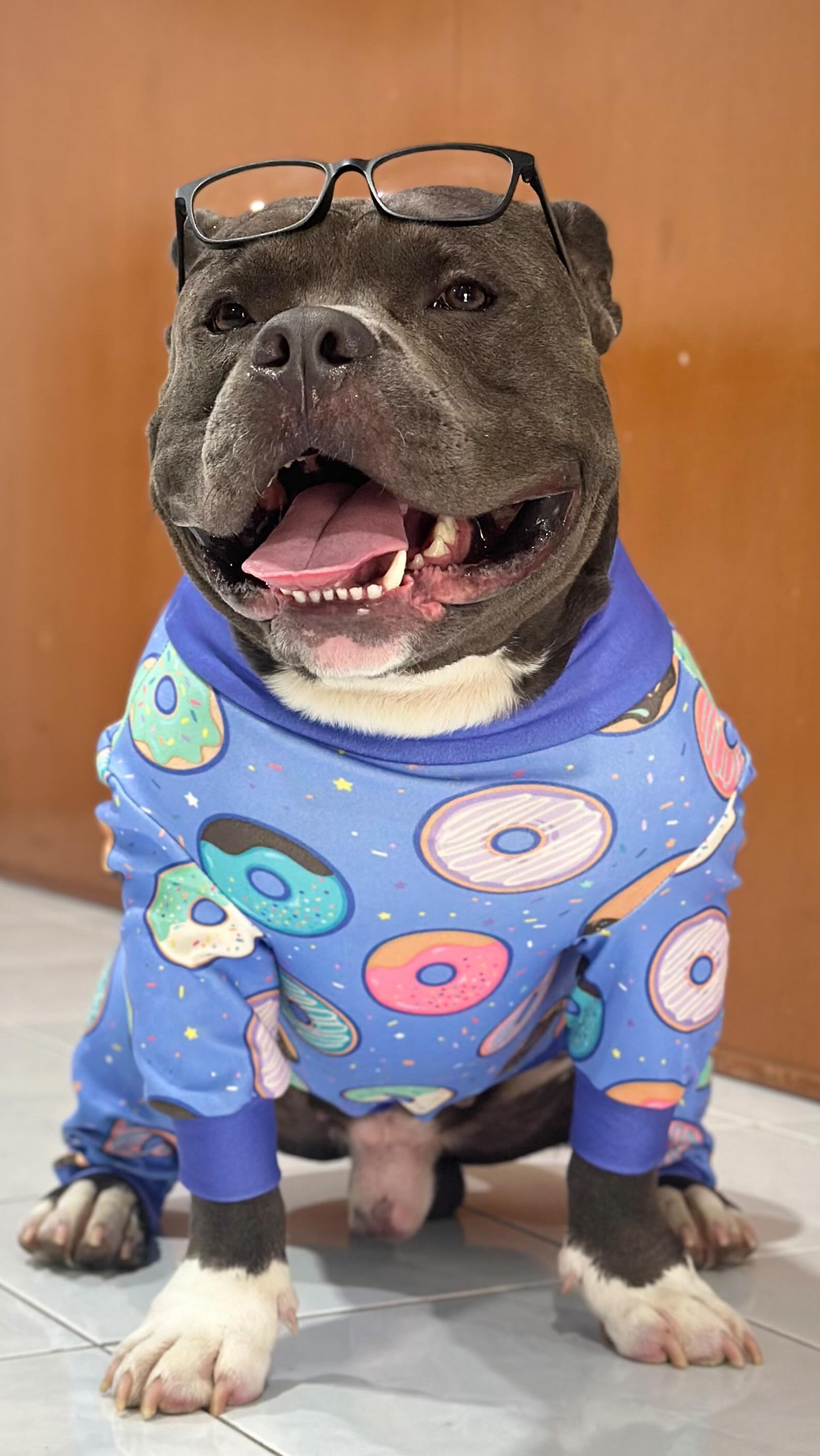 Instagram post by @pablo.c_bully for Spark Paws. Caption reads: [...] ATTENTION! Donuts Pajama by....