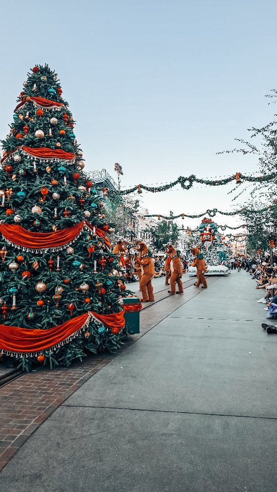 Instagram post by @julietandbeyond for Disneyland. Caption reads: november 2025 at disneyland !

tracking all the....