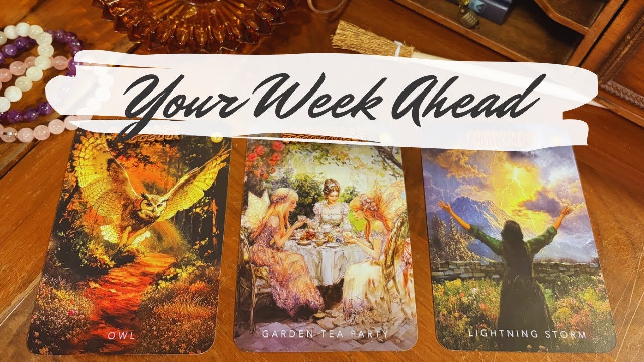 YouTube post by @charmedintuitiontarot for Otter Spirit. Caption reads: [...] #tarot #weeklyreading #otterspirit Your....