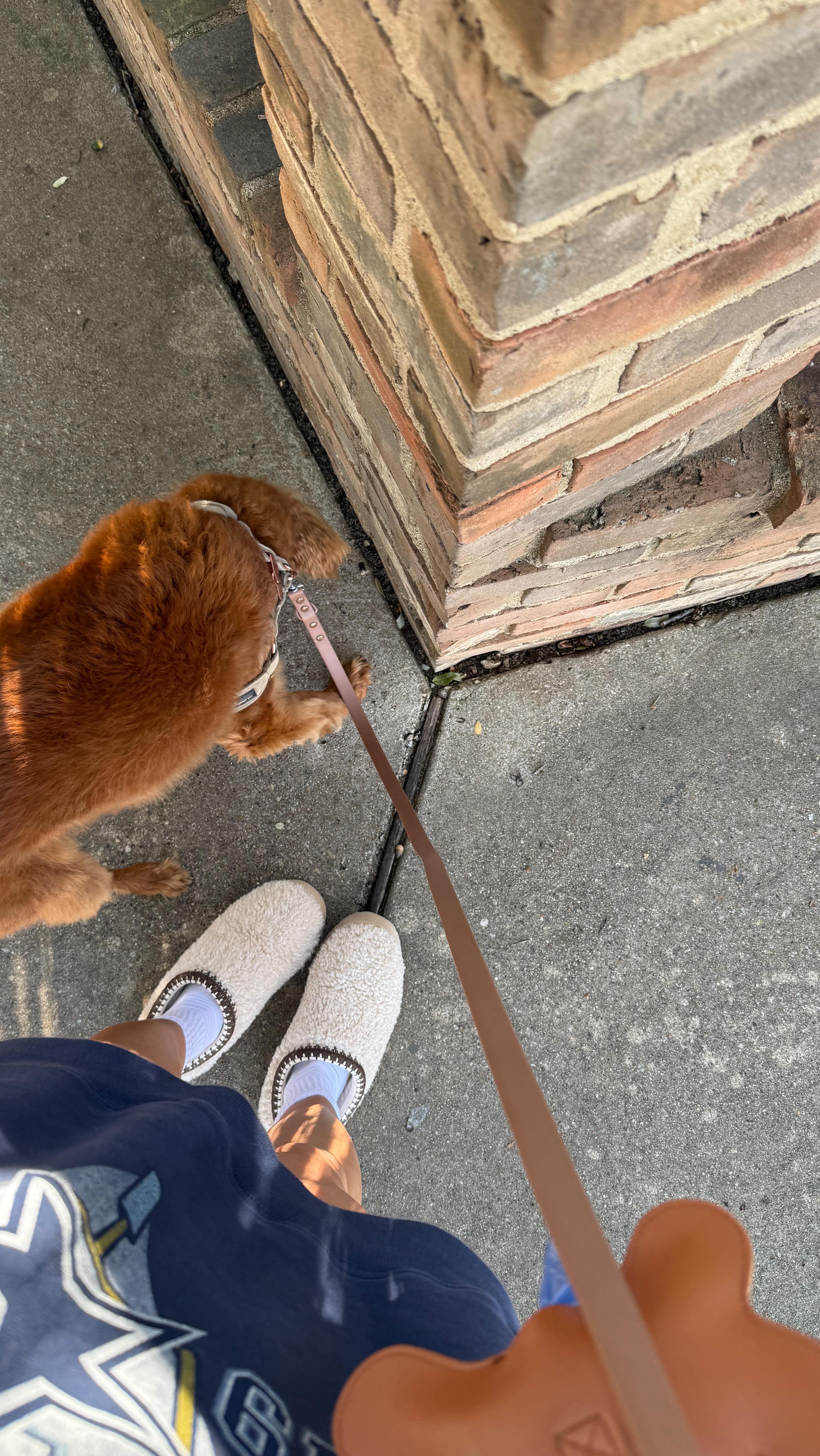 Instagram post by @sarah_barthel for TULA. Caption reads: [...] tool is @bondiboost and I LOVE
eye....