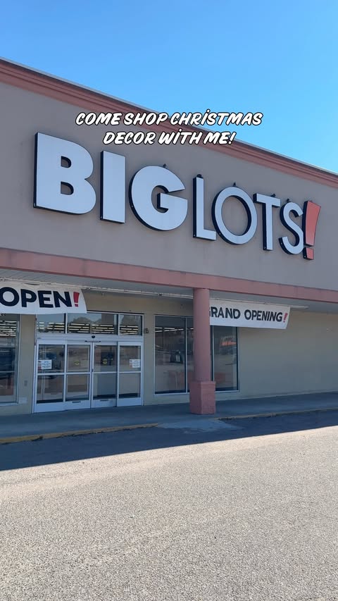 Instagram post by @gagirl_vintagedecor for biglots. Caption reads: Come shop with her and see everything she grabbed....