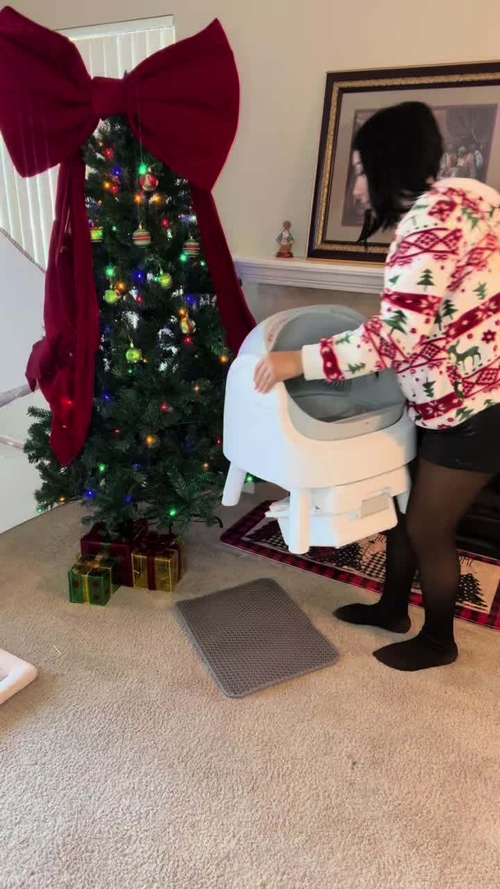 TikTok post by @damabeabee for PetPivot. Caption reads: [...] amara 😍😻 #AutoScooper #Fallfreshness....