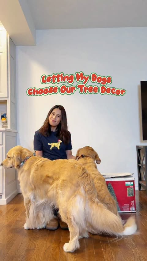 Instagram post by @pearlthegoldenpup for Wellness Pet Food. Caption reads: This is your reminder to include your dogs in....