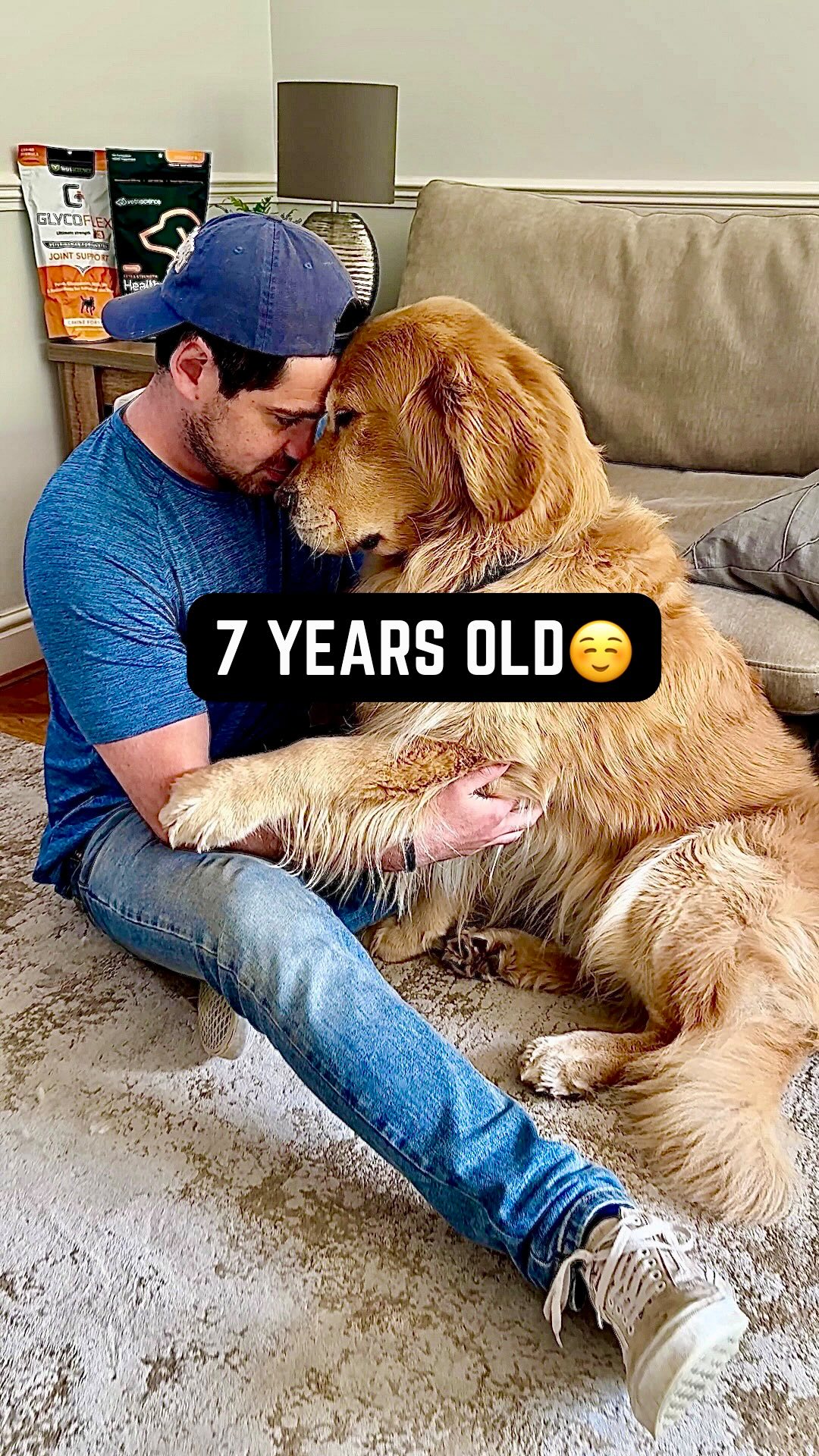 Instagram post by @marleyinnyc for VetriScience. Caption reads: [...] excited to include @vetriscience in Marley’s....